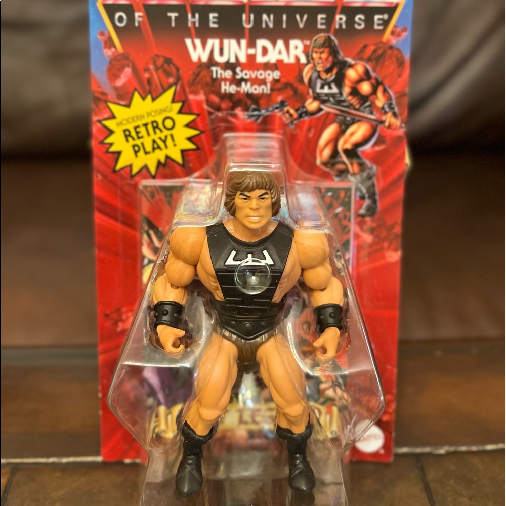 Master of the universe Wun-Dar figure/In Hand
